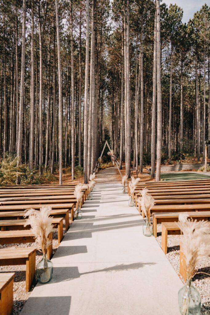 Beautiful wedding ceremony photo with flat wooden benches surrounded by pine trees in Minnesota 