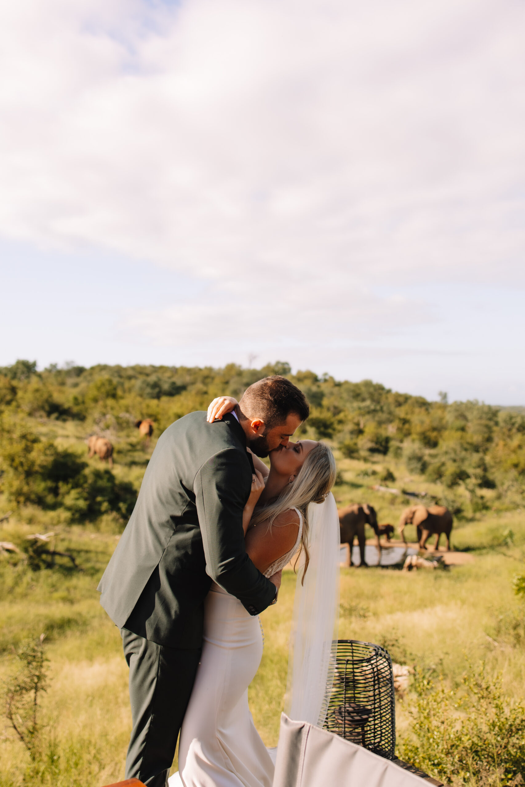 An elopement couple kissing at a safari lodge with elephants in the background during their all inclusive elopement package