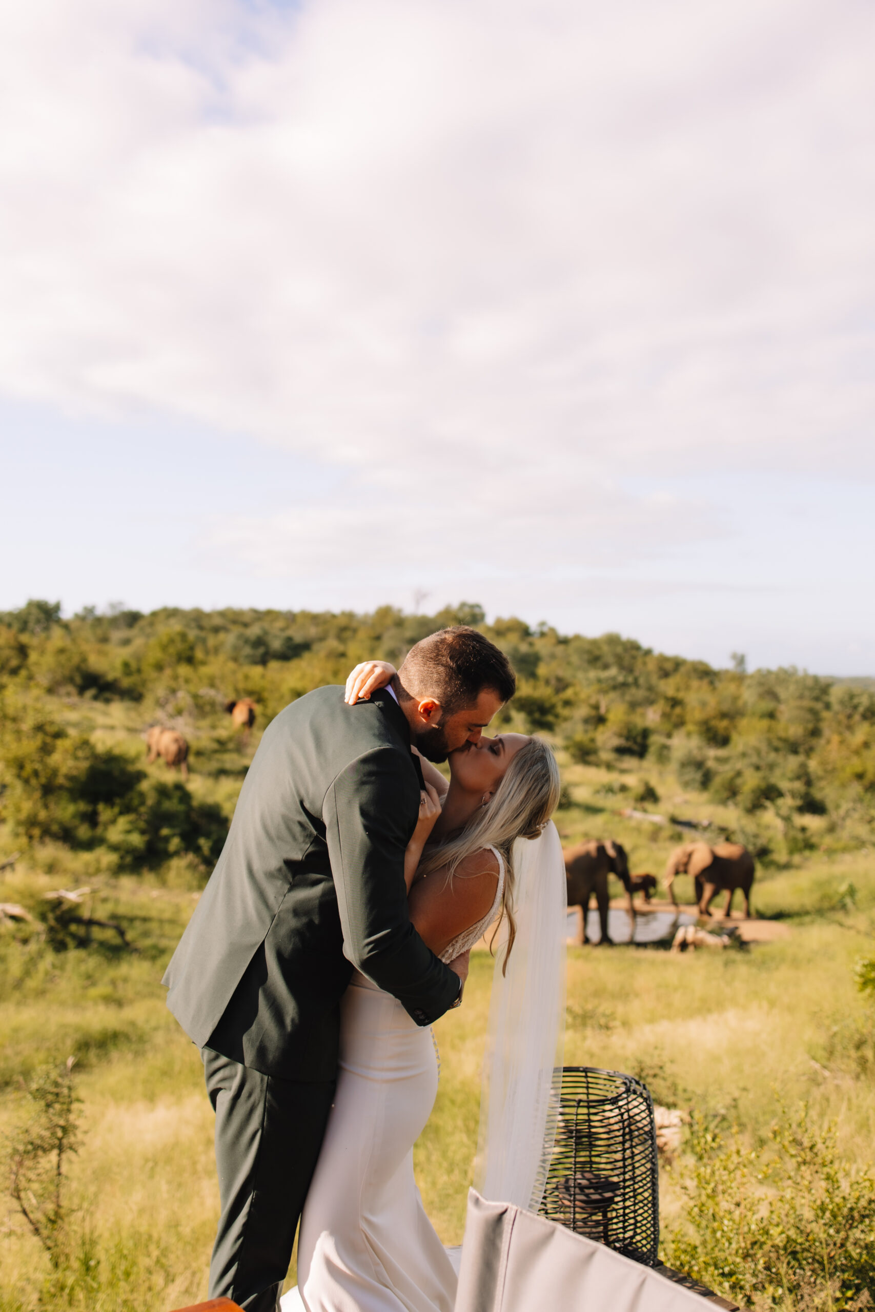 A wedding couple kissing each other on a safari deck in South Africa with elephants in the background