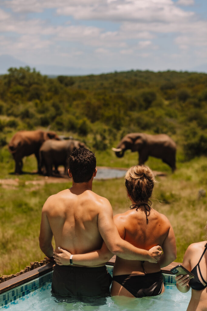 Honeymoon couple standing in a pool overlooking elephants