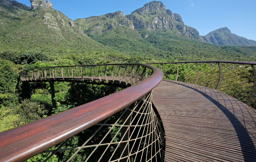 Kirstenbosch National Gardens in South Africa a South Africa elopement location