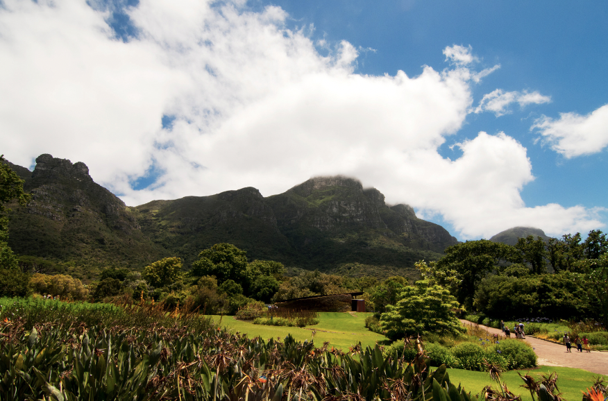 Kirstenbosch National Gardens in South Africa a South Africa elopement location