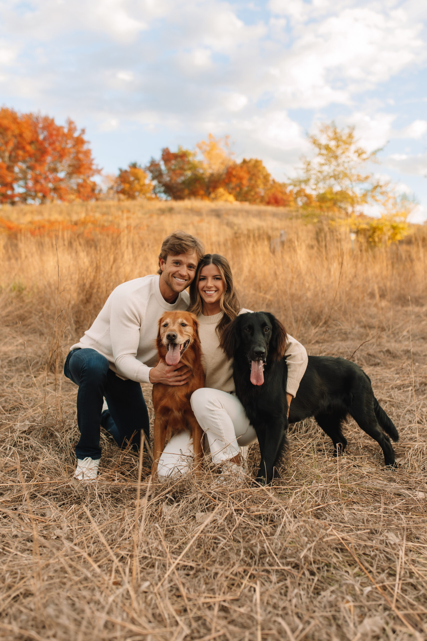 Engagement couple posing with their dogs at Purgatory park in Minnetonka with the beautiful fall colors in the background