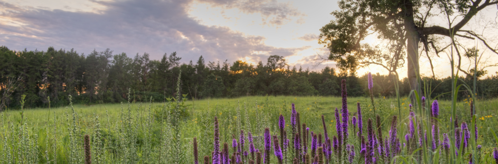 Minnesota Landscape Arboretum- An affordable wedding venue in Minnesota