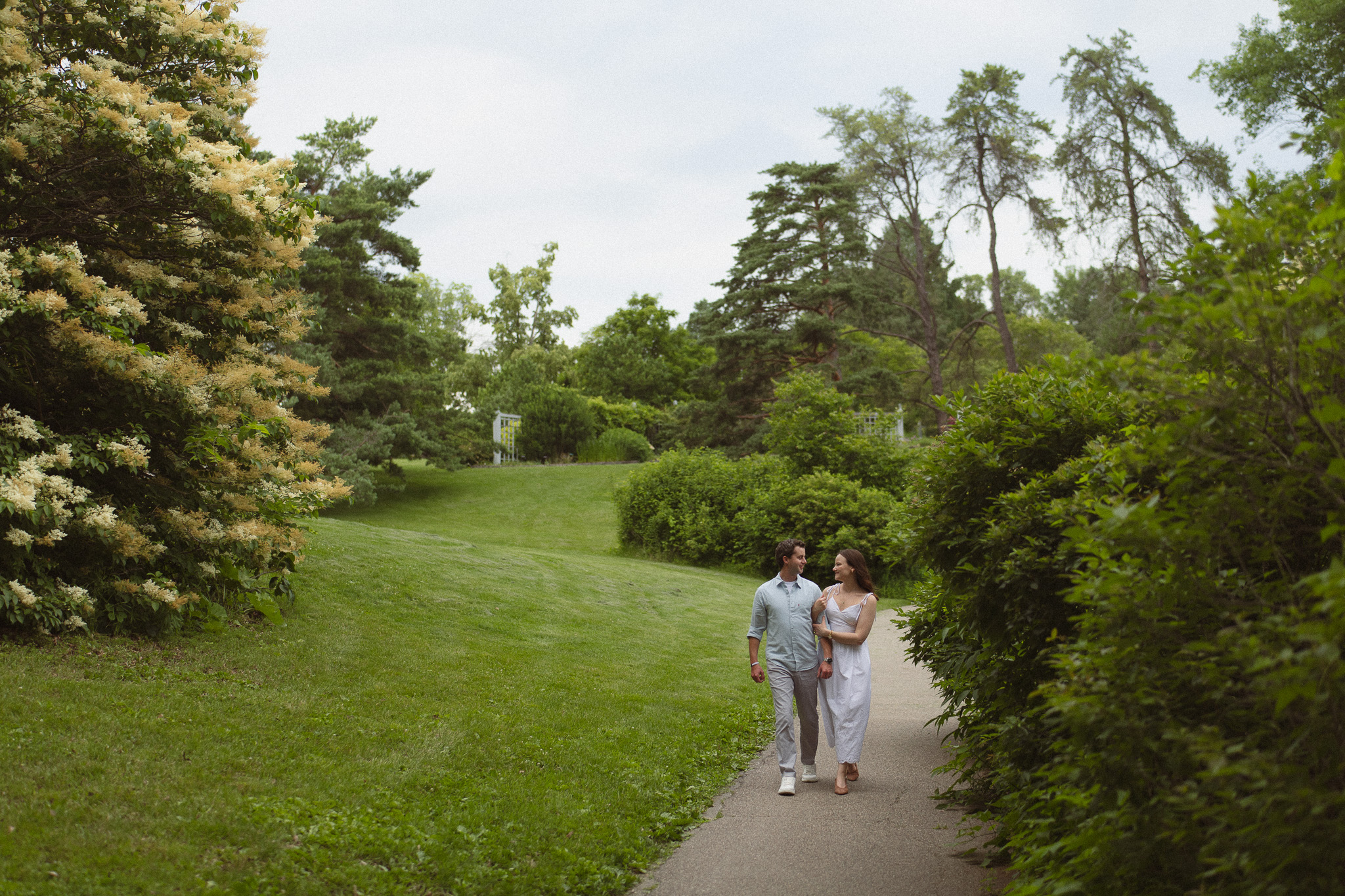 Engagement couple walking along a pathway at the Minnesota Landscape Arboretum