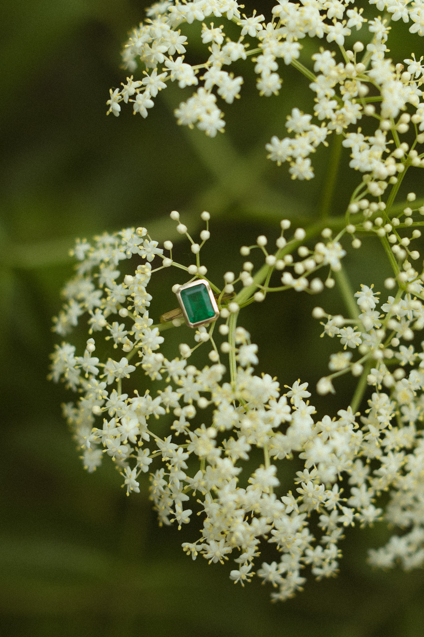 Close up detail photo of an engagement ring hanging on a Baby's breath flower branch
