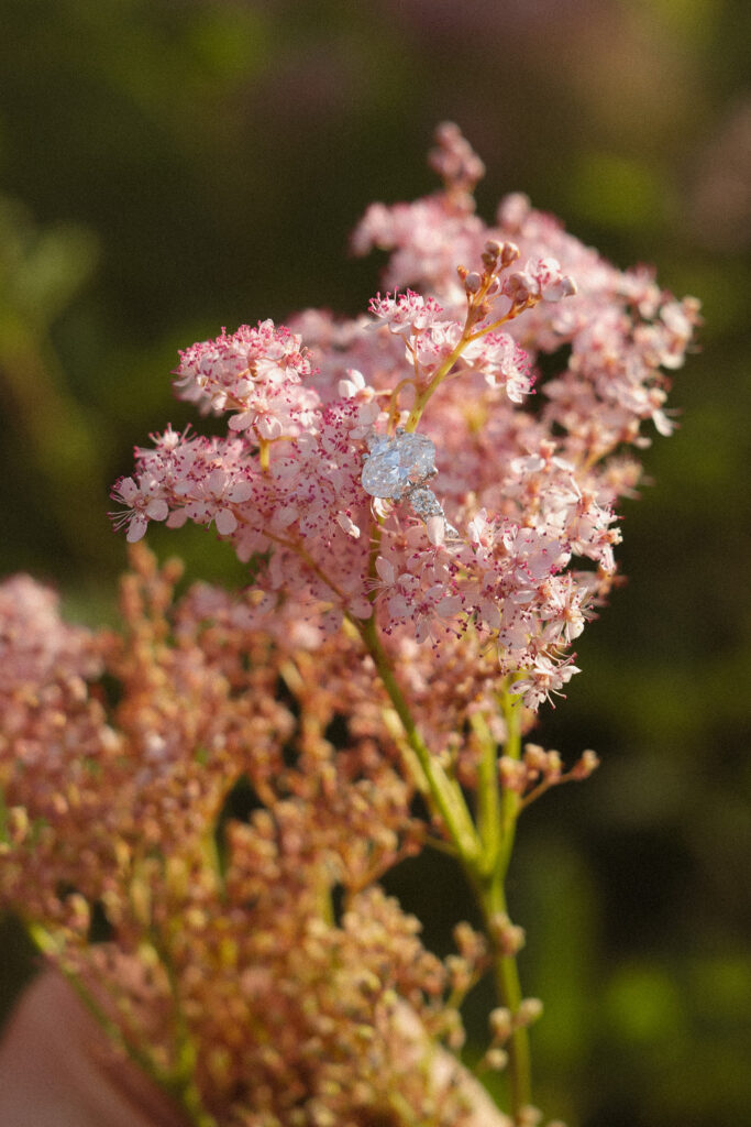 Close up shot of an engagement ring resting on a flower