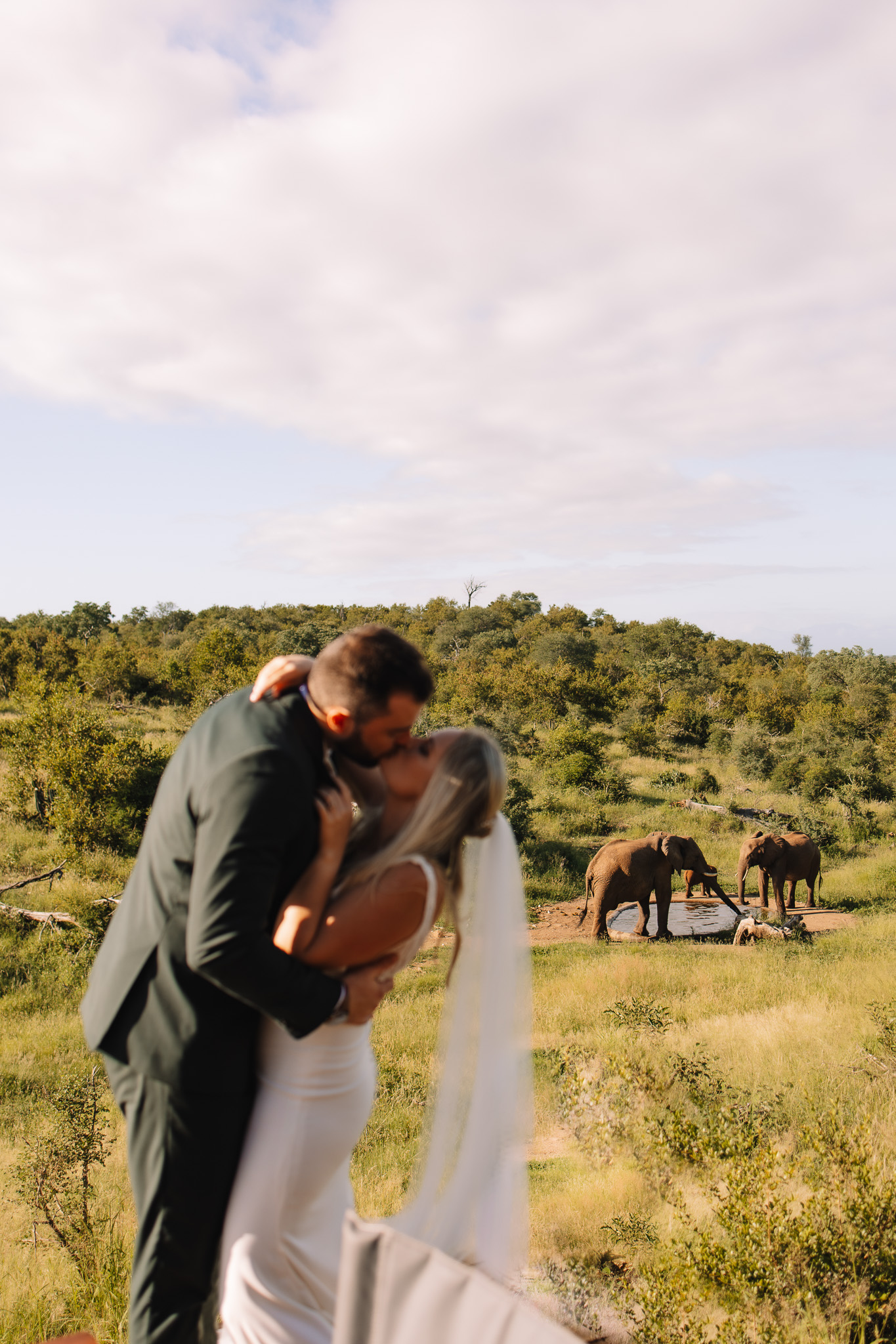 Bride and groom kissing during their safari elopement while elephants roam in the background