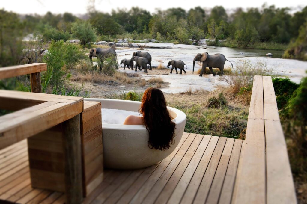 Sabi sands private tub on a deck overlooking the watering hole with elephants