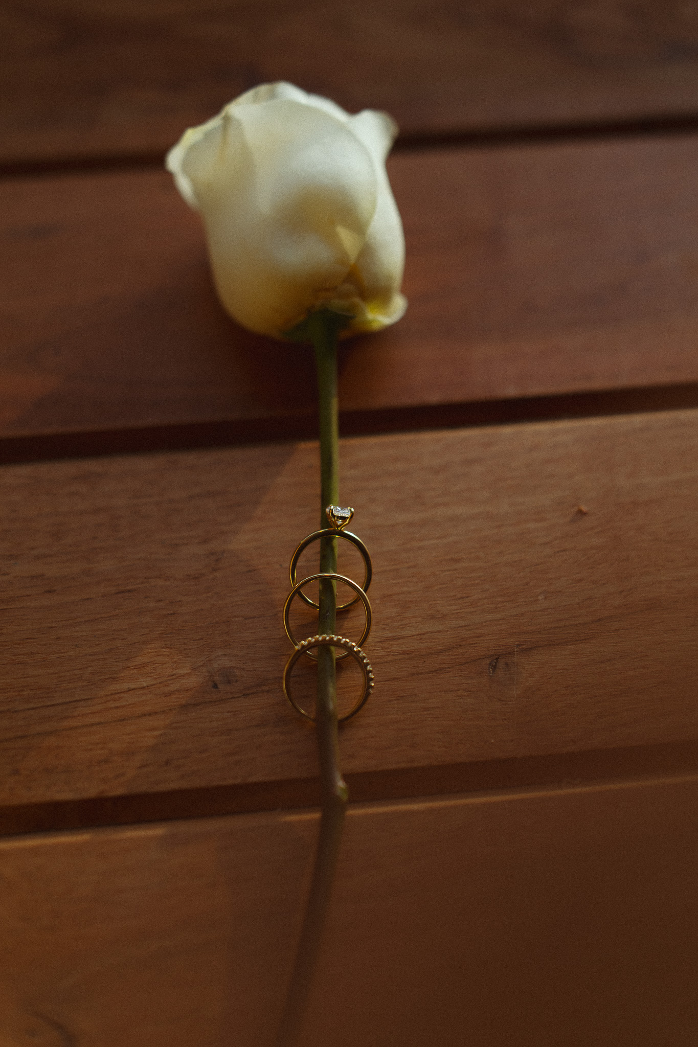 Wedding ring detail shot at The Hutton House