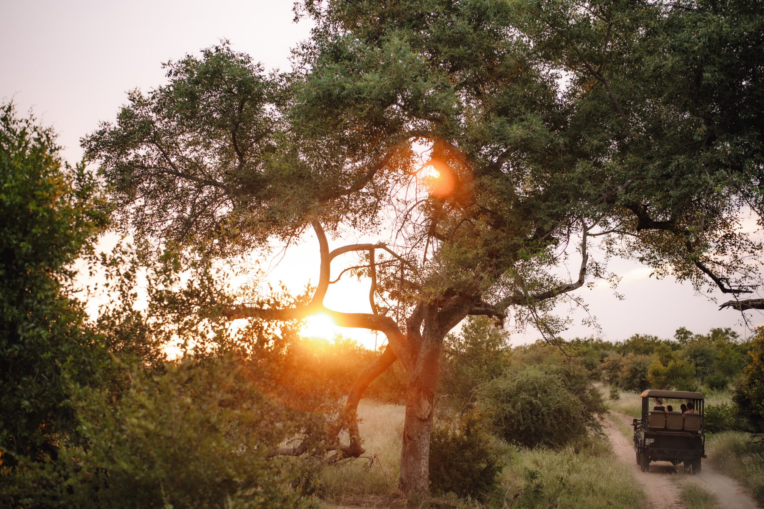 Safari vehicle driving at sunset during a South Africa honeymoon adventure.