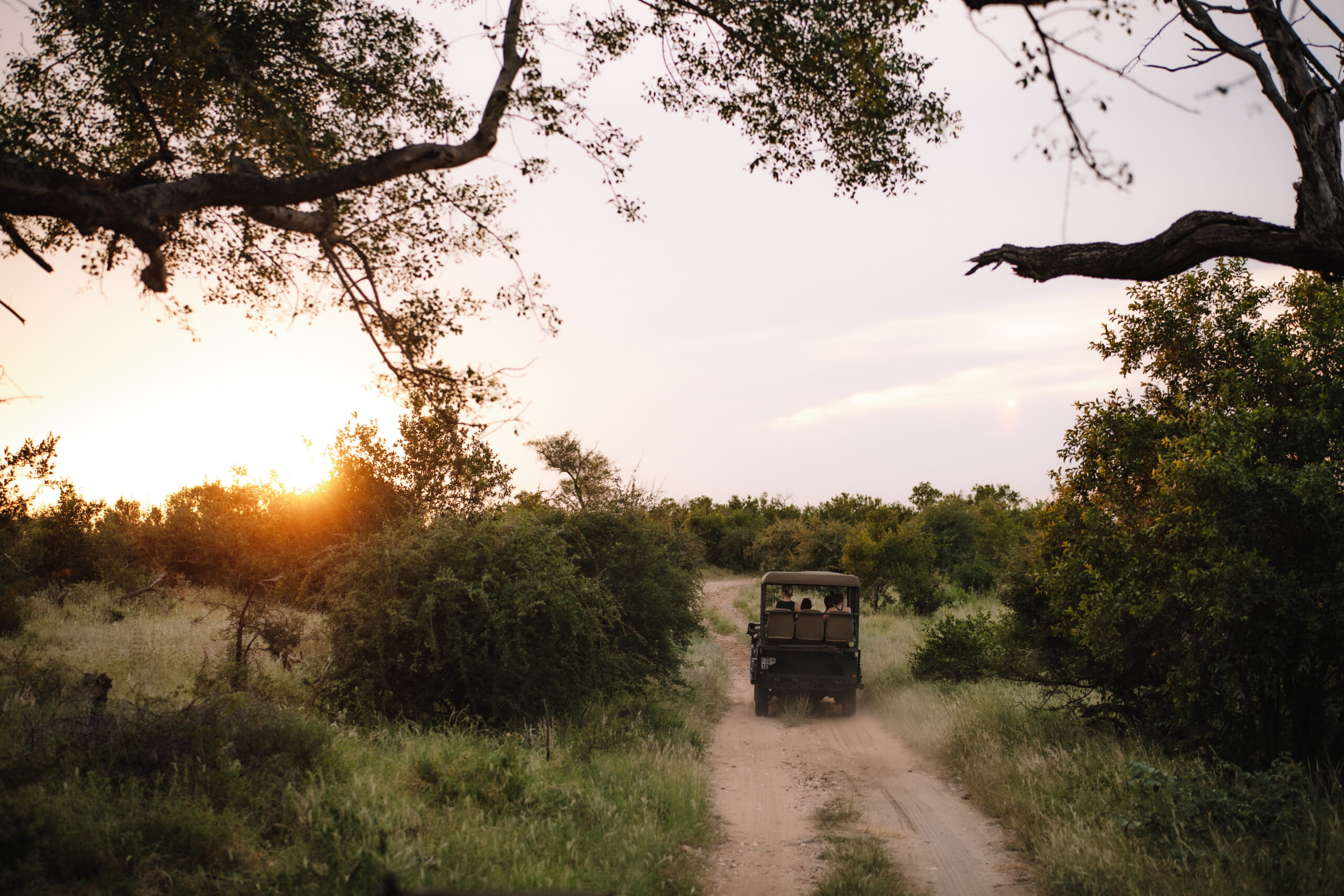 Sunset game drive in the Eastern Cape during a luxury safari elopement in South Africa.