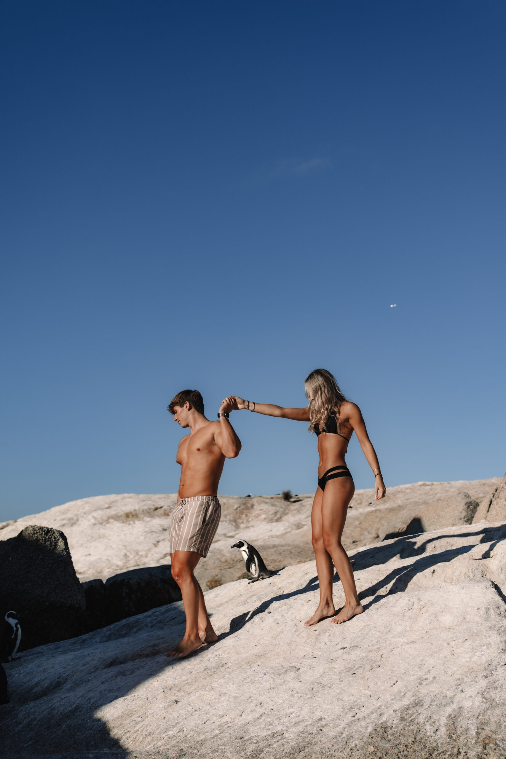 Couple exploring coastal rocks with penguins during their Cape Town honeymoon adventure session.
