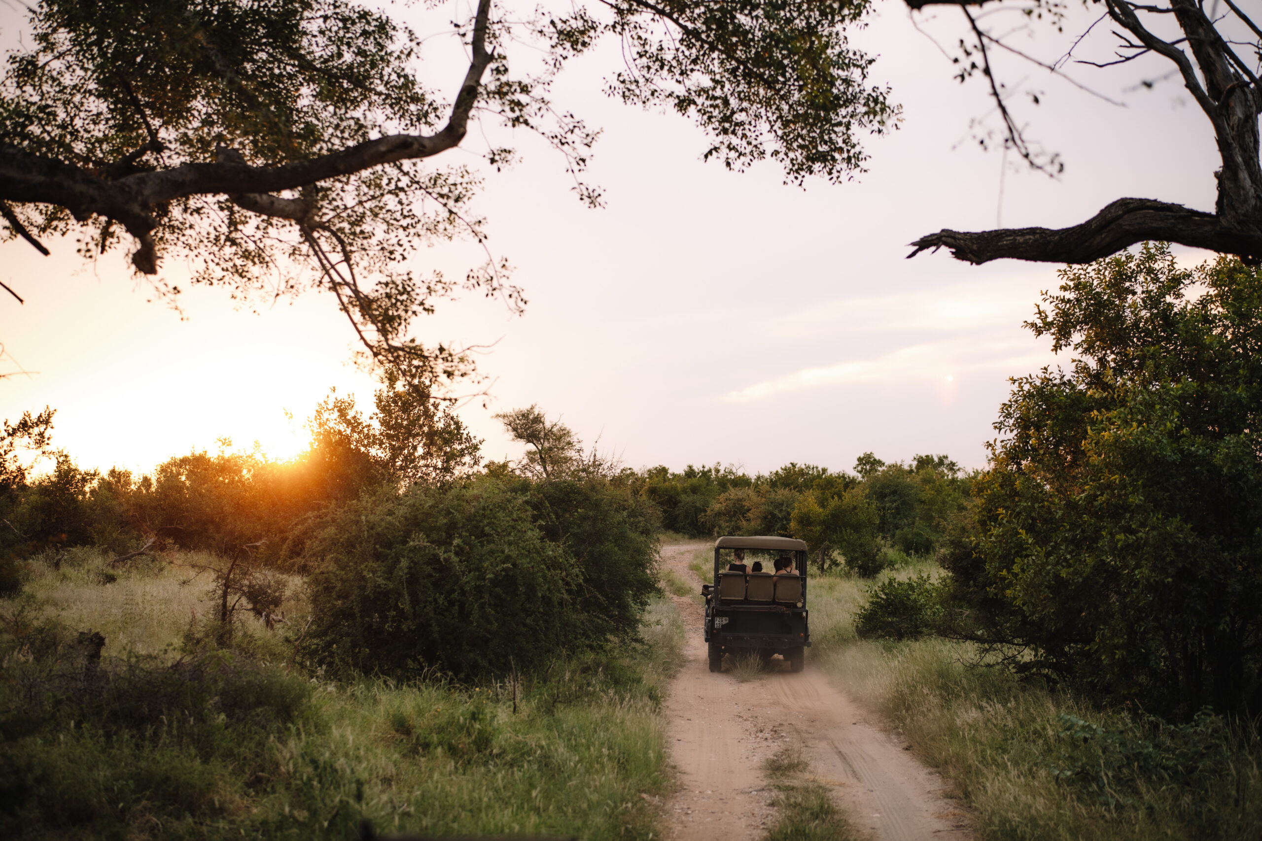Safari vehicle driving down a dirt road at sunset during an evening game drive in South Africa