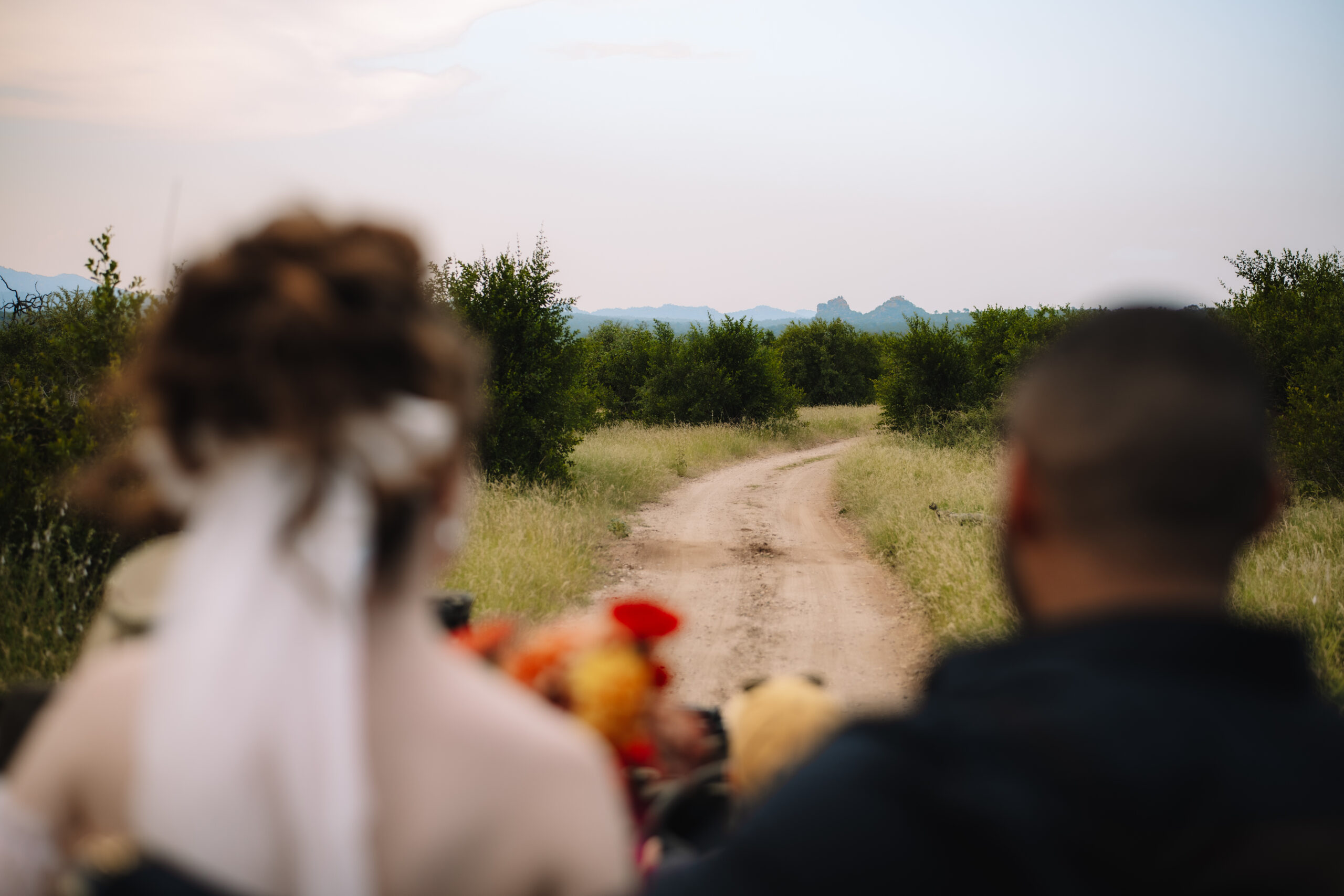 View from a safari vehicle looking down a winding dirt road during a safari elopement in Africa experience