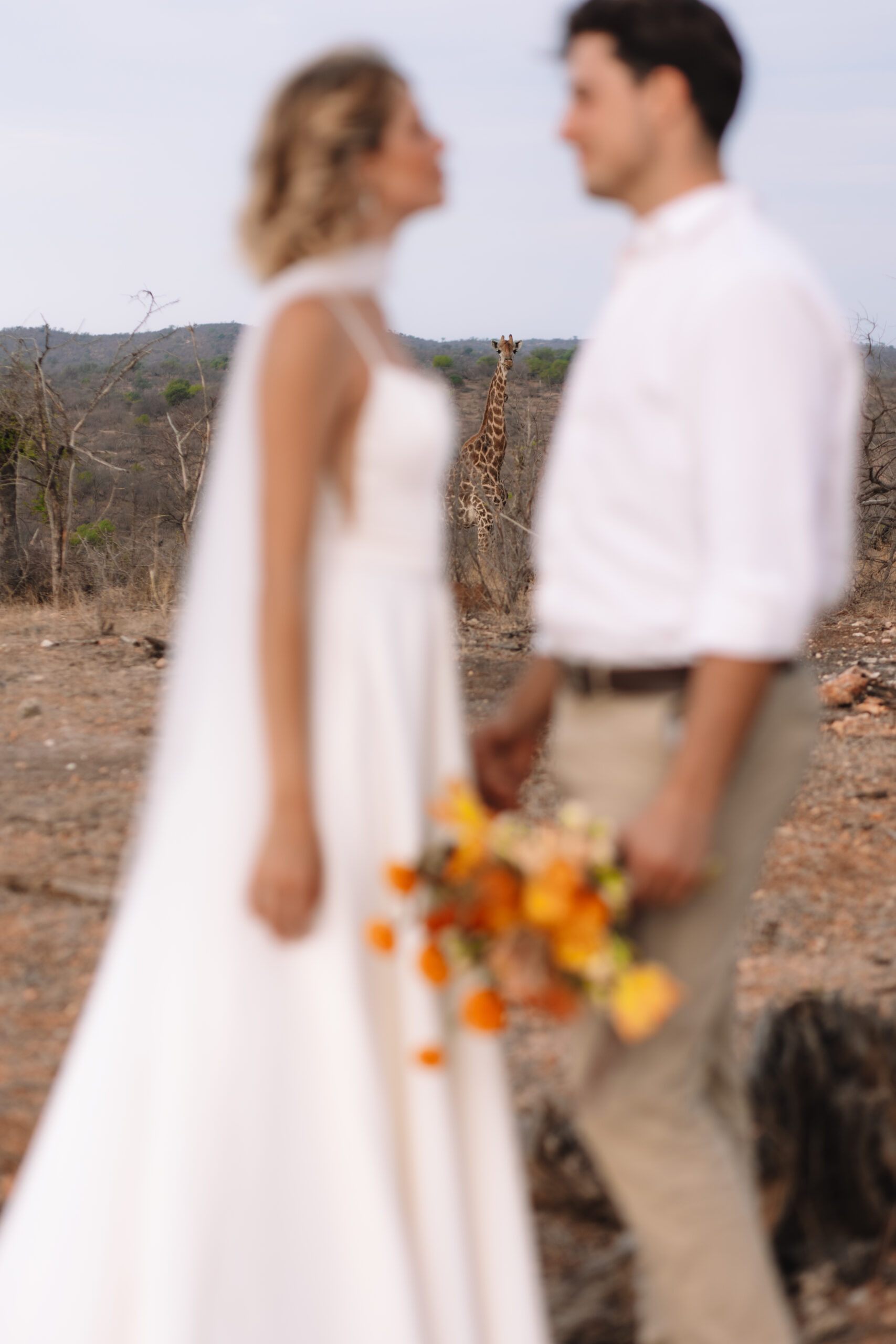 Bride and groom holding hands with a giraffe in the background during their South Africa elopement