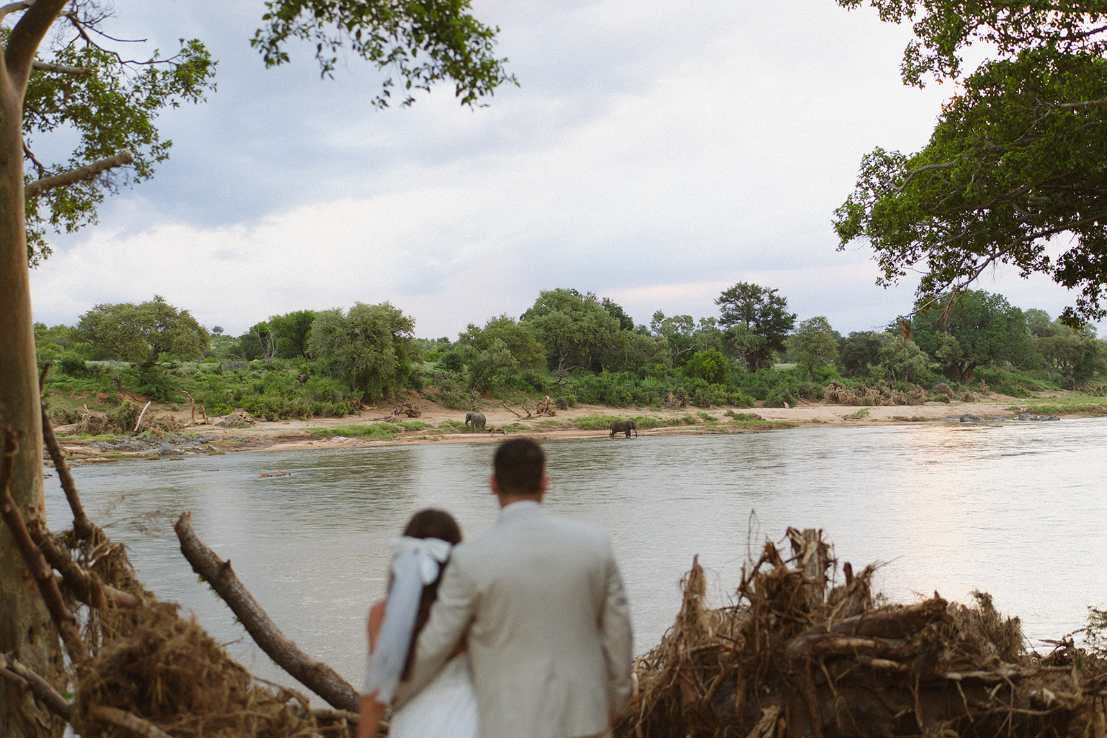 Newlywed couple watching elephants across river during safari after they elope in South Africa
