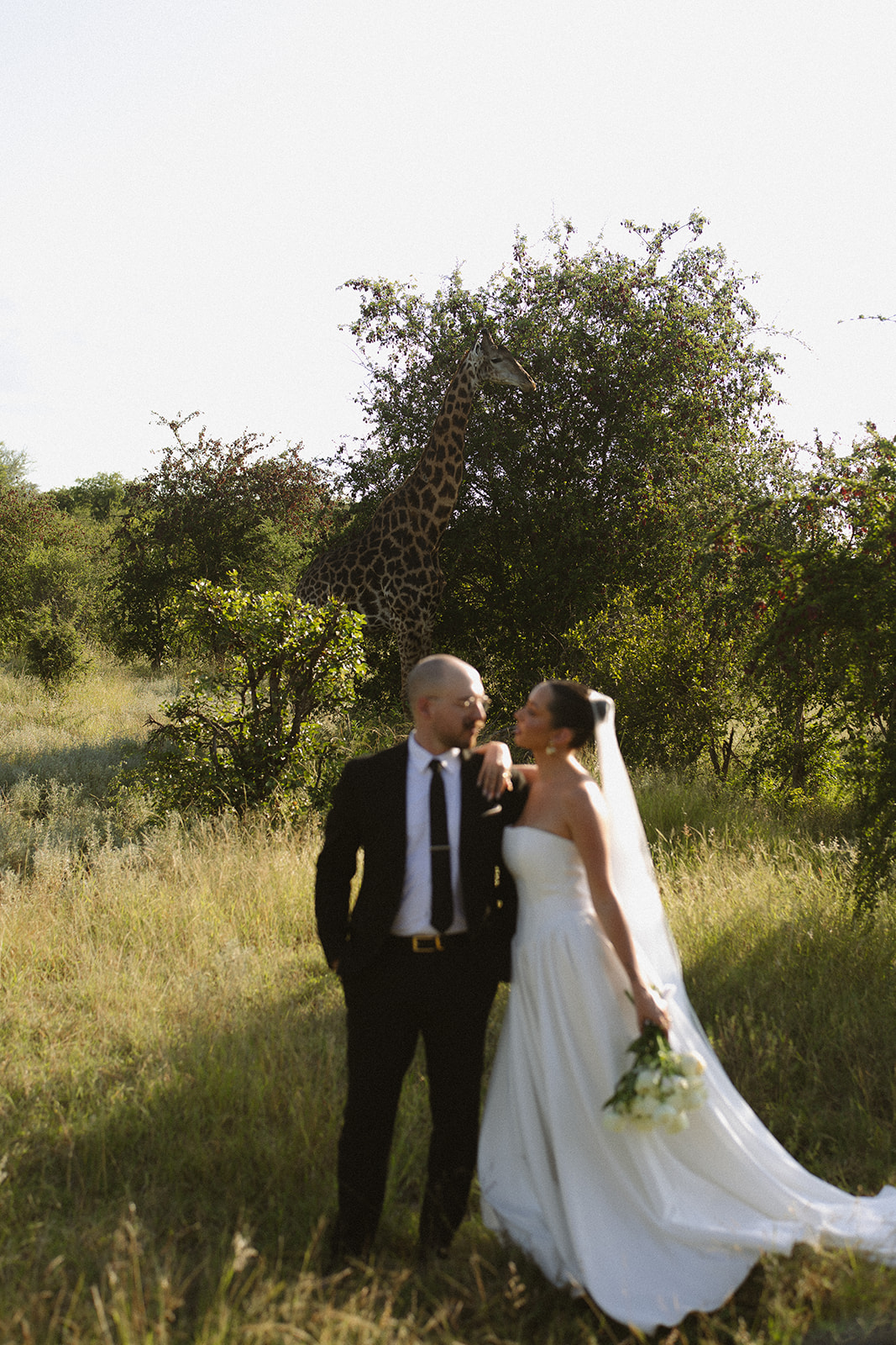 Bride and groom embracing in tall grass with a giraffe behind them during a wildlife safari portrait for Africa weddings.
