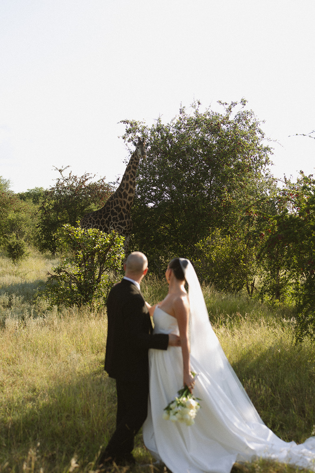 Newlyweds admiring a giraffe in the distance during their safari wedding portraits in the African bush.
