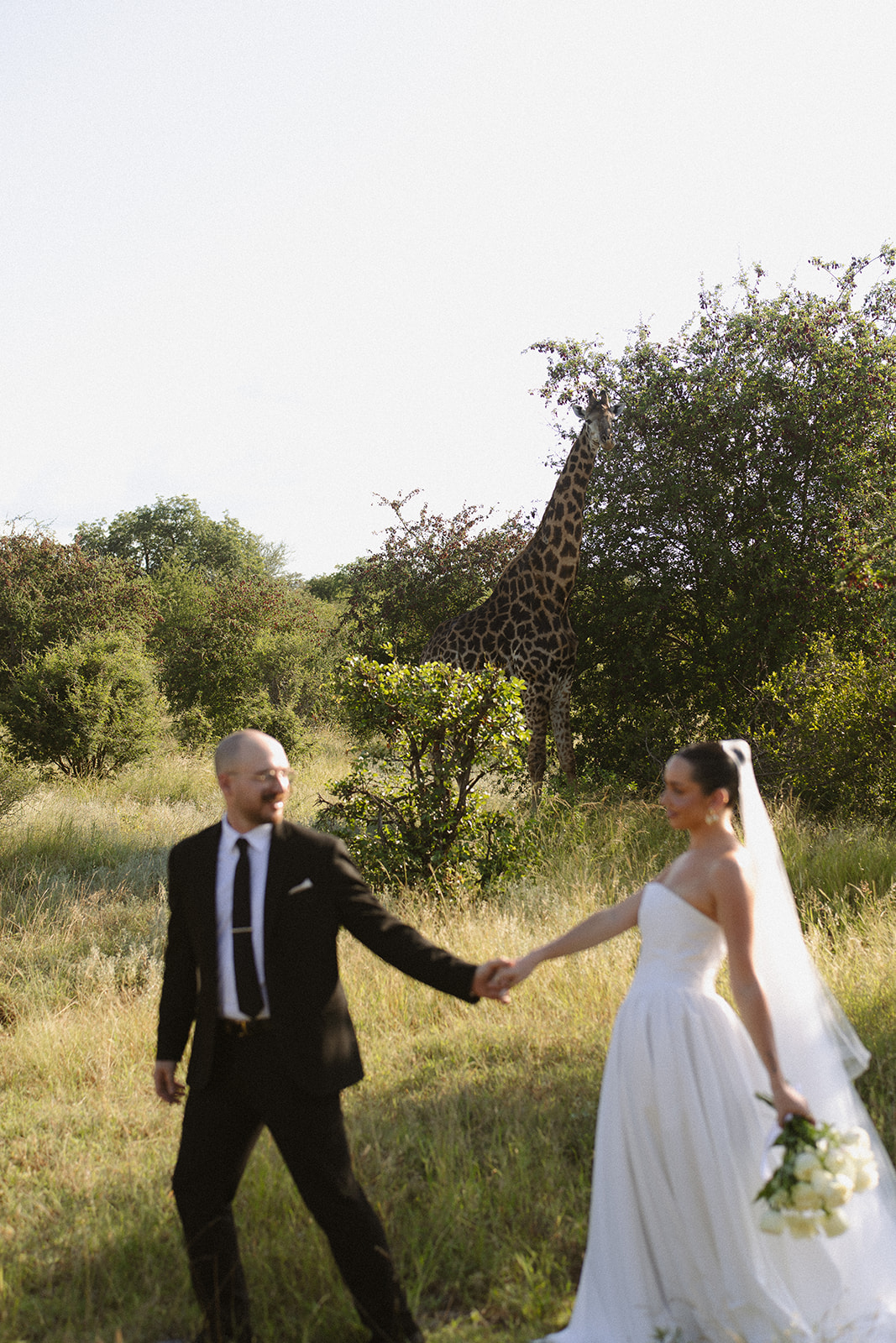 Bride and groom walking hand in hand with a giraffe in the background during stunning Africa weddings portraits in the African bush.
