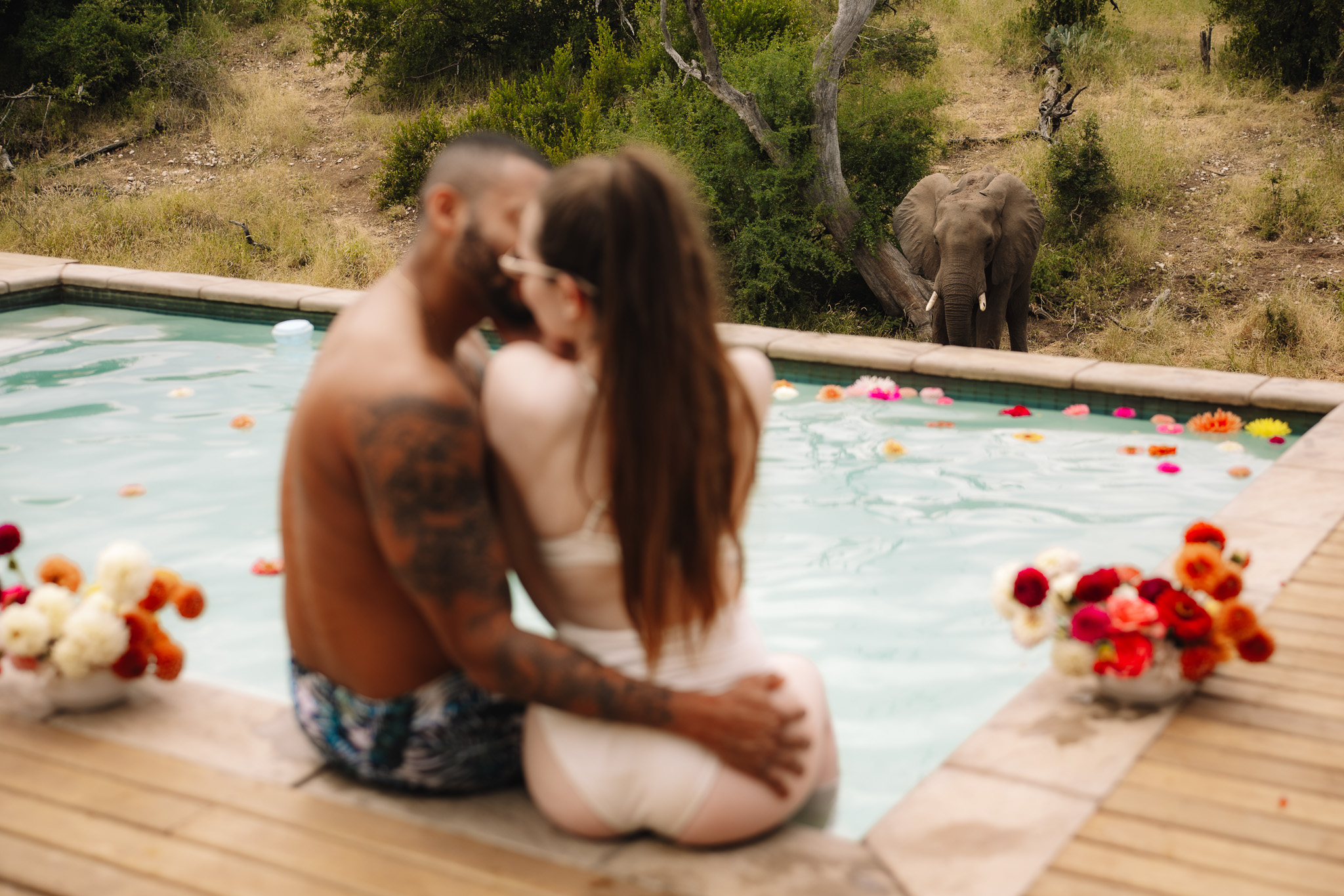 Bride and groom kissing beside their safari lodge pool while an elephant walks nearby